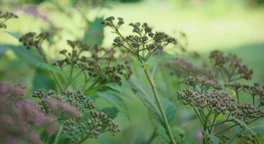 Гостиница Гостевой дом «Добрый Нижний» Нижний Новгород-15