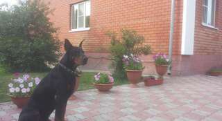 Гостиница Гостевой дом «Добрый Нижний» Нижний Новгород-6